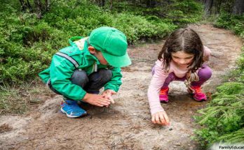 5 Educational Activities For Kids