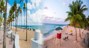 Comparing Round-Trip Airfare to Fort Lauderdale vs. West Palm Beach