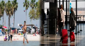 How to Find Last-Minute Discounted Airfare to Tampa for Spring Break