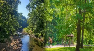 Top Scenic Picnic Spots in Patapsco Valley State Park